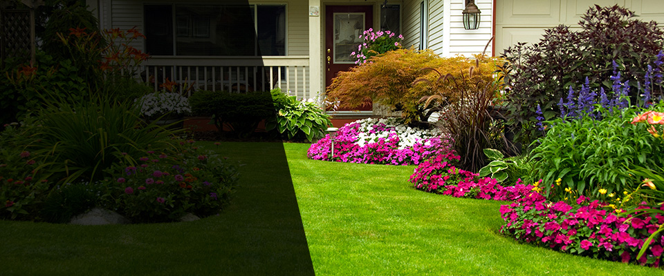 Wilmington Landscapers